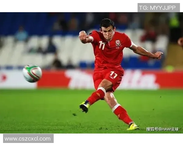 黄磊亲自分享排球技巧与心得体会助你提升球技