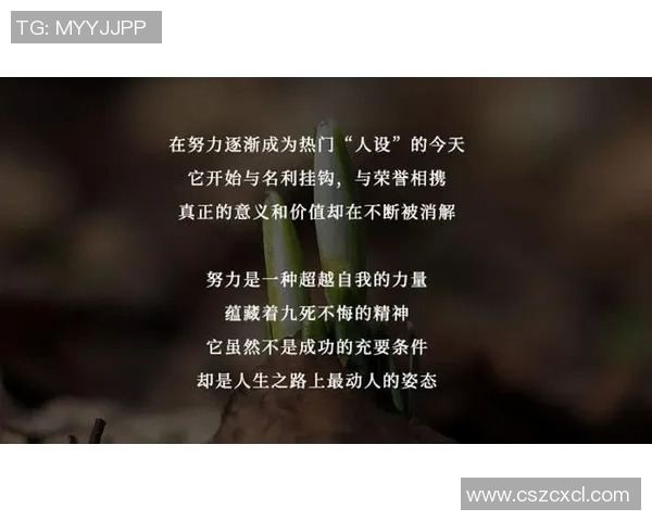 上海乒乓球队挑战赛背后的奋斗故事与拼搏精神全景揭秘