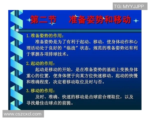 南京排球队速度对比深度解析与战术分析探讨 南京排球队速度对比深度解析与战术分析探讨