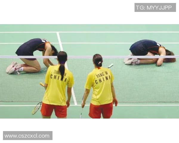 北京羽毛球队在奥运会中的团队协作表现分析与点评