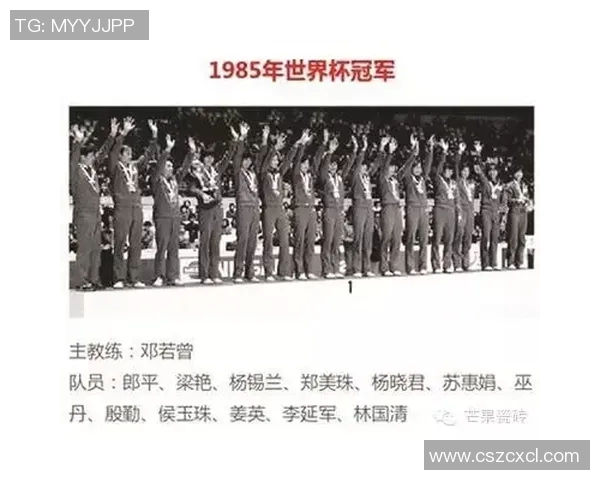 周强专访：从排球小将到传奇教练的成长之路与心路历程回顾