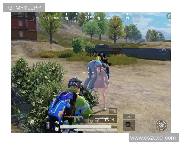 和平精英纪实：探索WE战队在电竞领域的华丽转型与成长之路