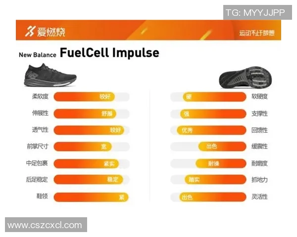 广州篮球队耐力对比深度分析揭示球队潜力与挑战